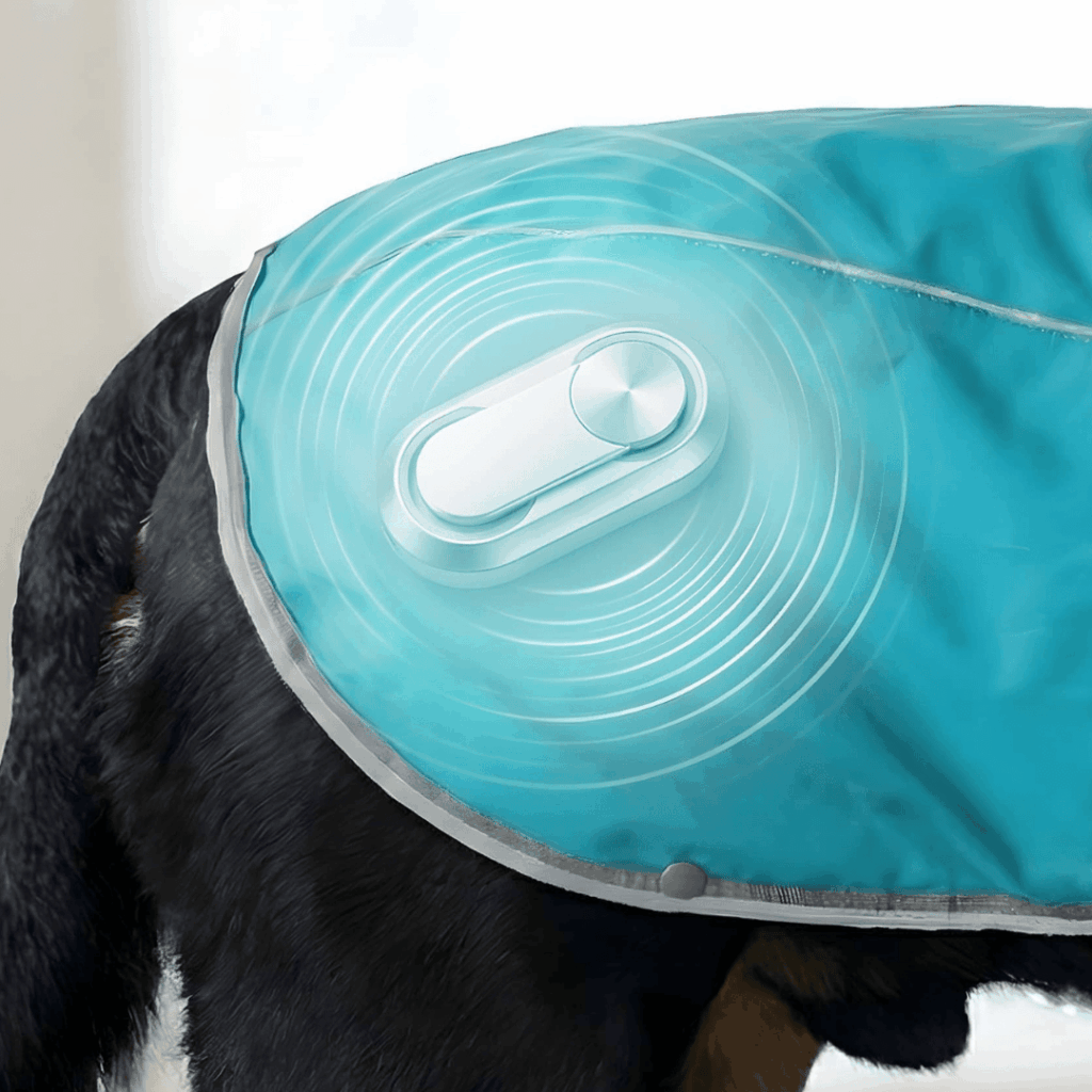 Massagemotor op de rug van de hond